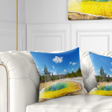 Glory Haus Pillows Wayfair