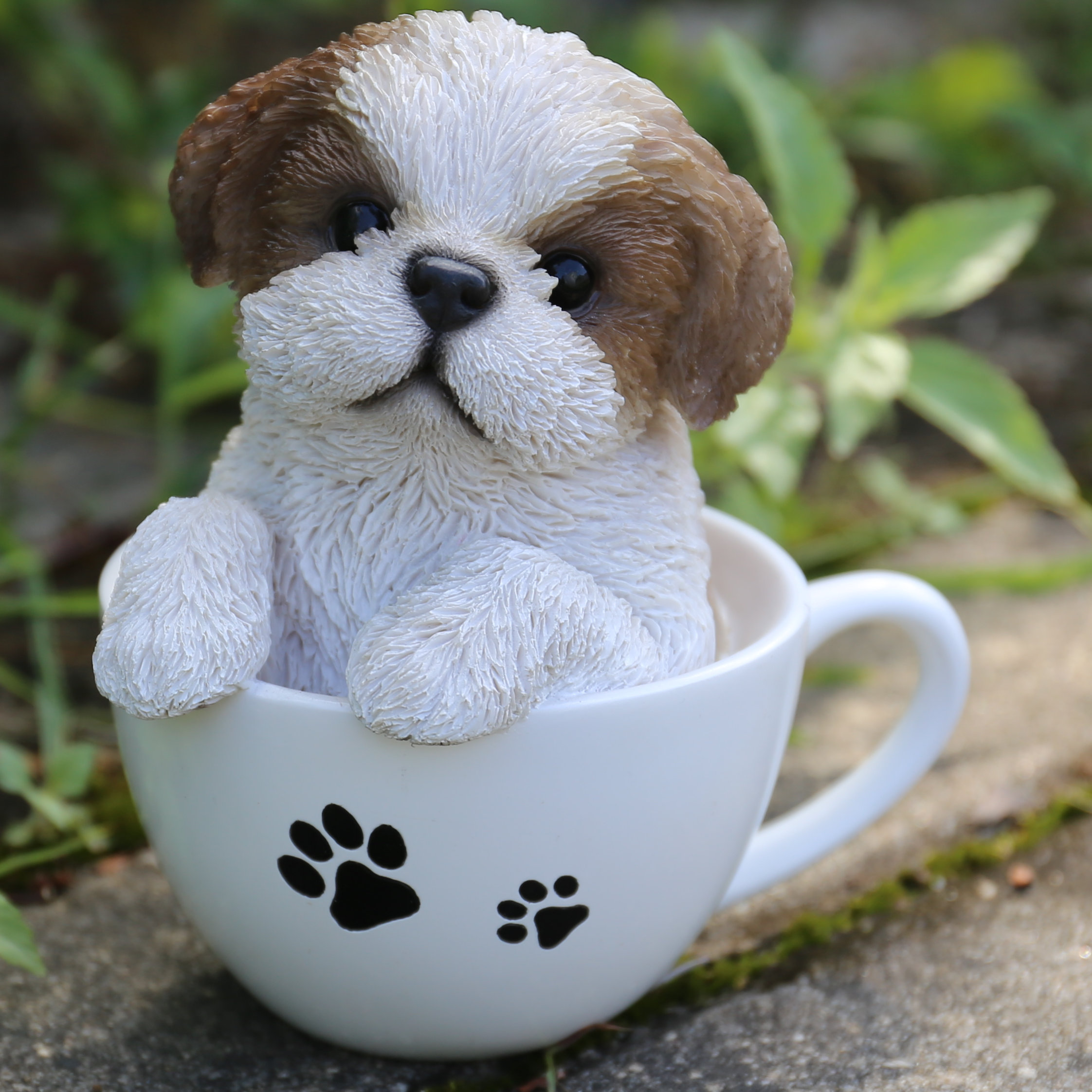 miniature shih tzu puppy