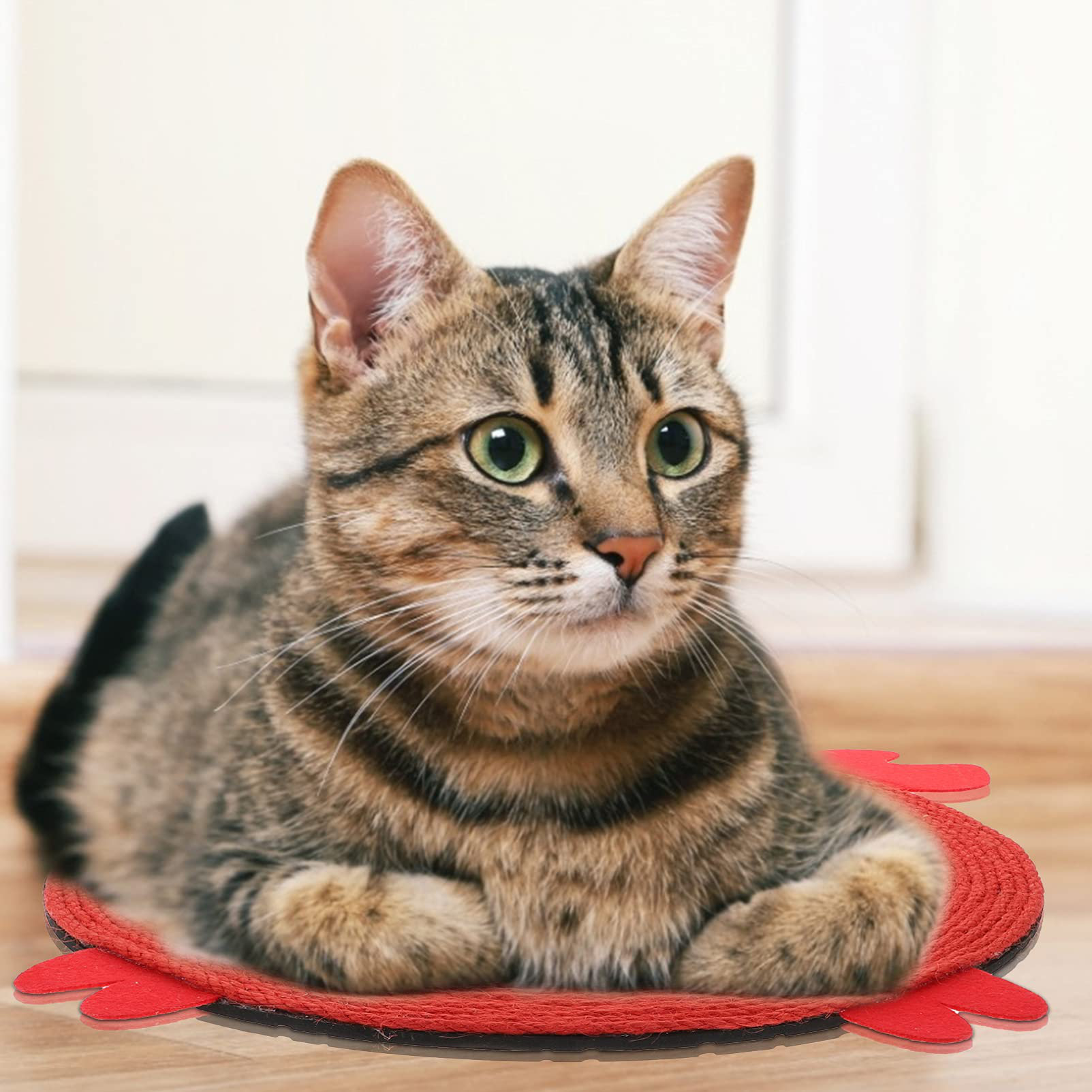 hanging cat scratch pad