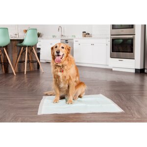 Neat 'n Dry Premium Pet Training Pad