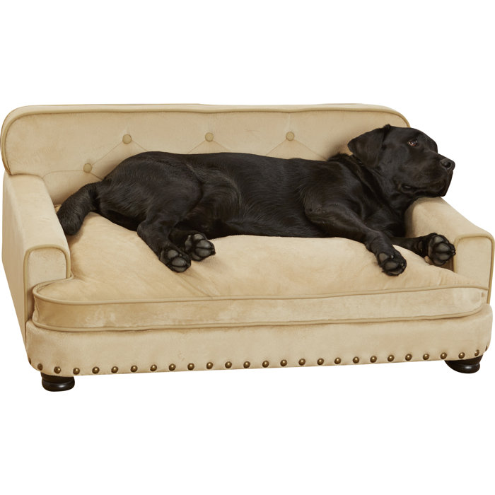 Archie Oscar Consuelo Dog Sofa Reviews Wayfair Ca