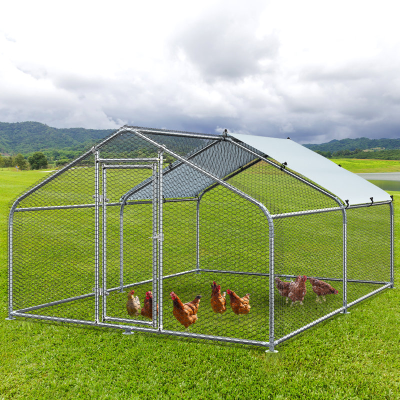 65/125/145/200 Square Feet Deretha Heavy-duty Chicken Run Chicken Coop Size: 76.8" H x 117.6" W x 152.4" D