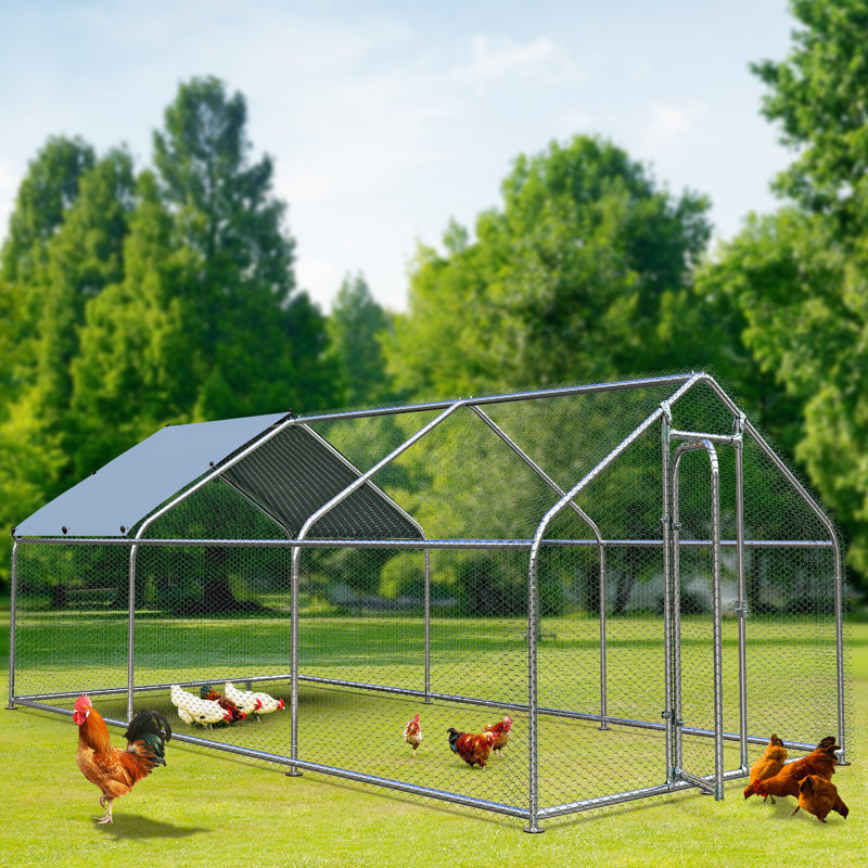 65/125/145/200 Square Feet Deretha Heavy-duty Chicken Run Chicken Coop Size: 76.8" H x 117.6" W x 236.4" D
