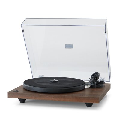 Turntable Decorative Record Player