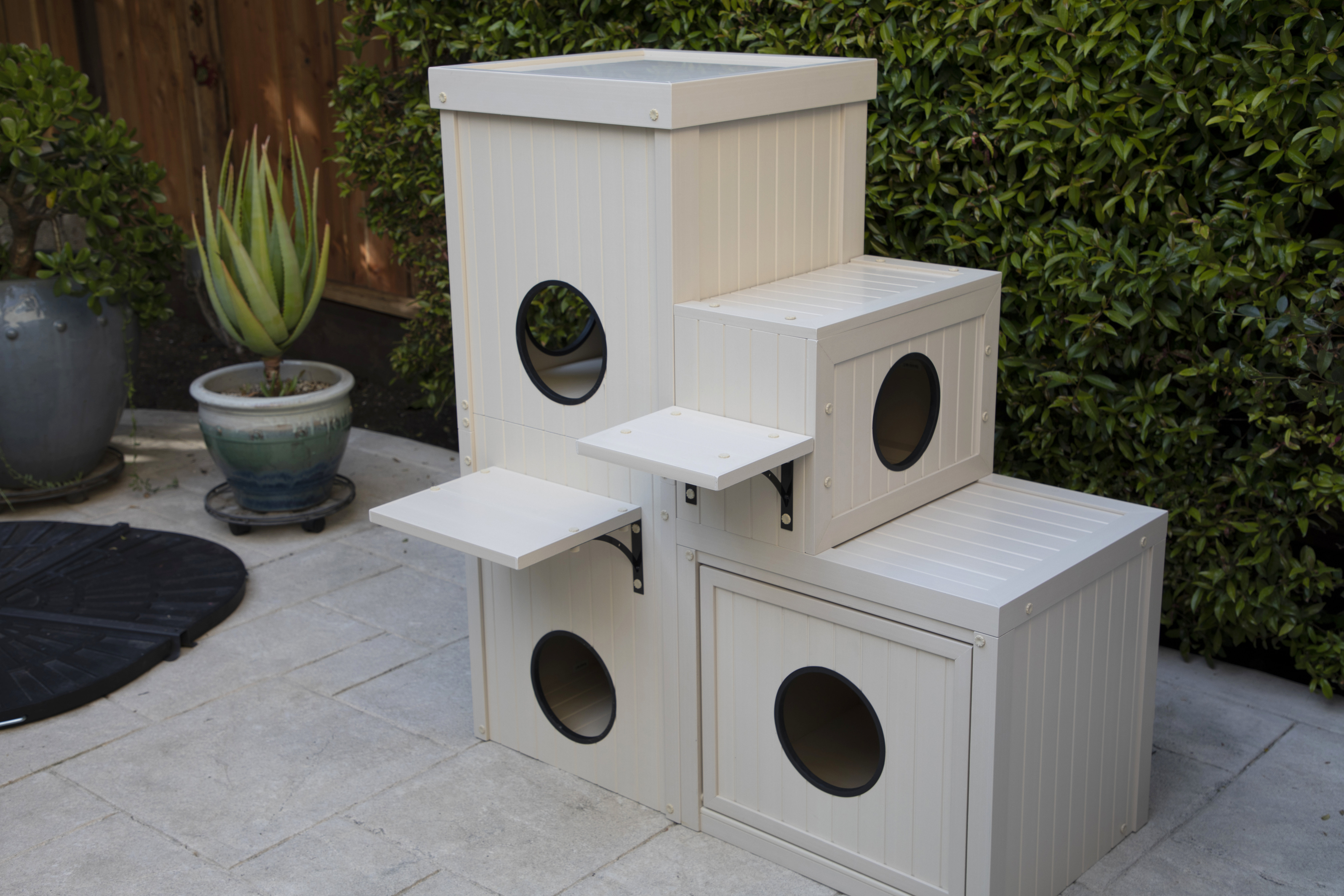ecoflex feral cat house