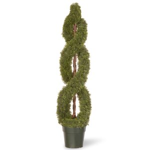 Double Spiral Round Topiary in Pot