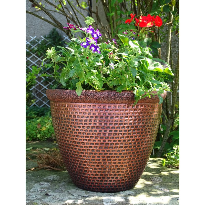 World Menagerie Hearthstone Plastic Plant Pot &amp; Reviews