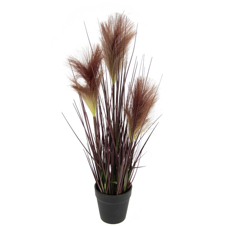 The Seasonal Aisle Artificial Pampas Grass Plant in Planter & Reviews ...