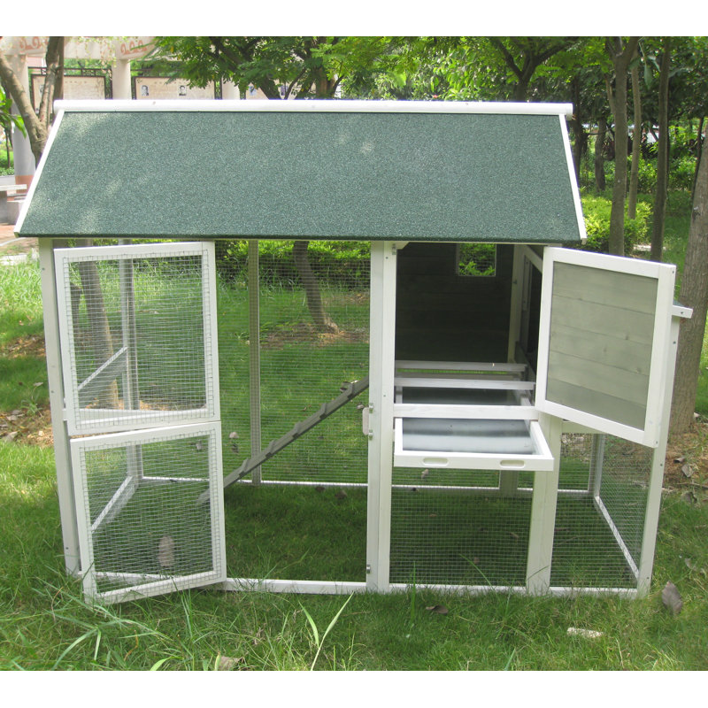 Check Out Coops Feathers Xl Superior Hen Coop Shopyourway