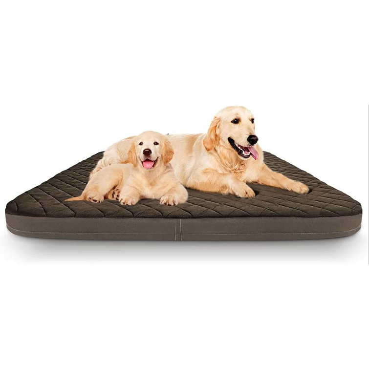 dog sleeping mattress