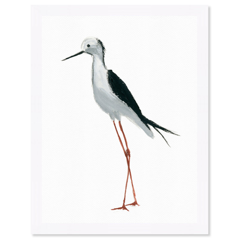 Highland Dunes Painted Bird Framed Watercolor Painting Print