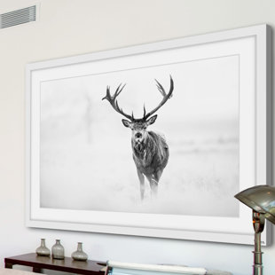 Modern Parvez Taj Wall Art Allmodern