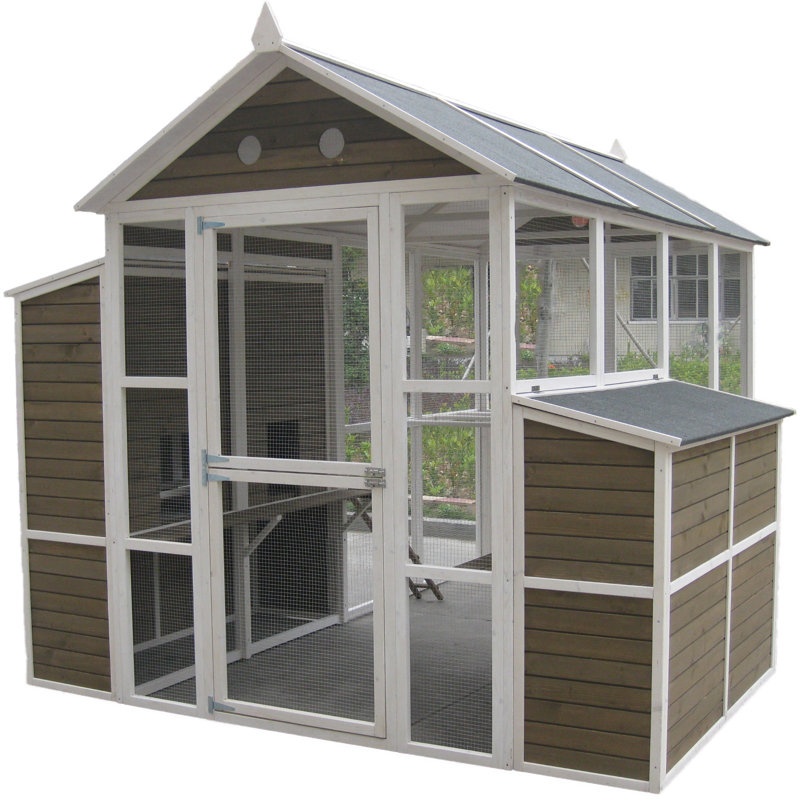 Coops Feathers Chicken Coop With Chicken Run