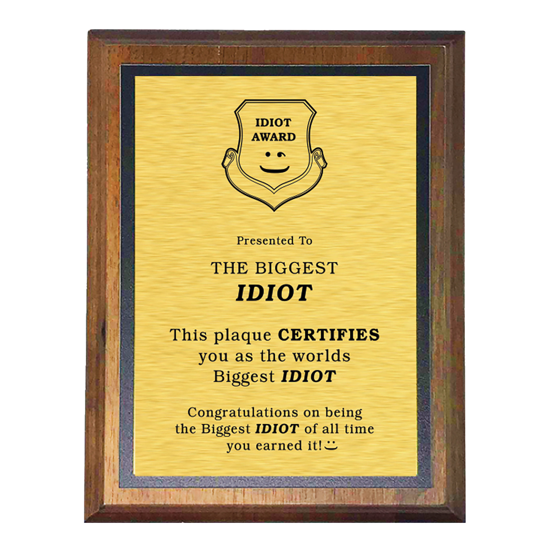 winston-brands-the-biggest-idiot-award-picture-frame-textual-art