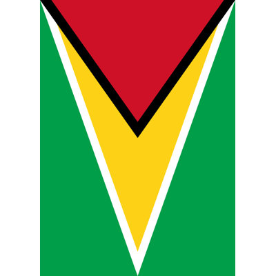 Guyana Garden flag Toland Home Garden