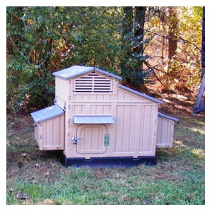 Large Chicken Coop