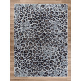 Home Decorators Collection Rug Wayfair