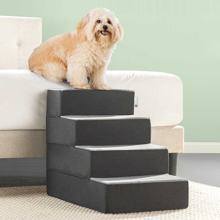 big dog ramp