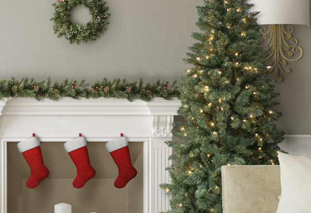 Our Favorite Christmas Trees