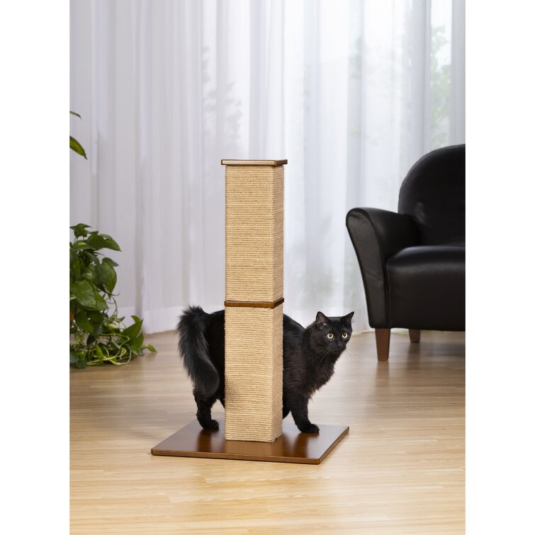 Tucker Murphy Pet Borrego Scratching Post Reviews Wayfair Ca