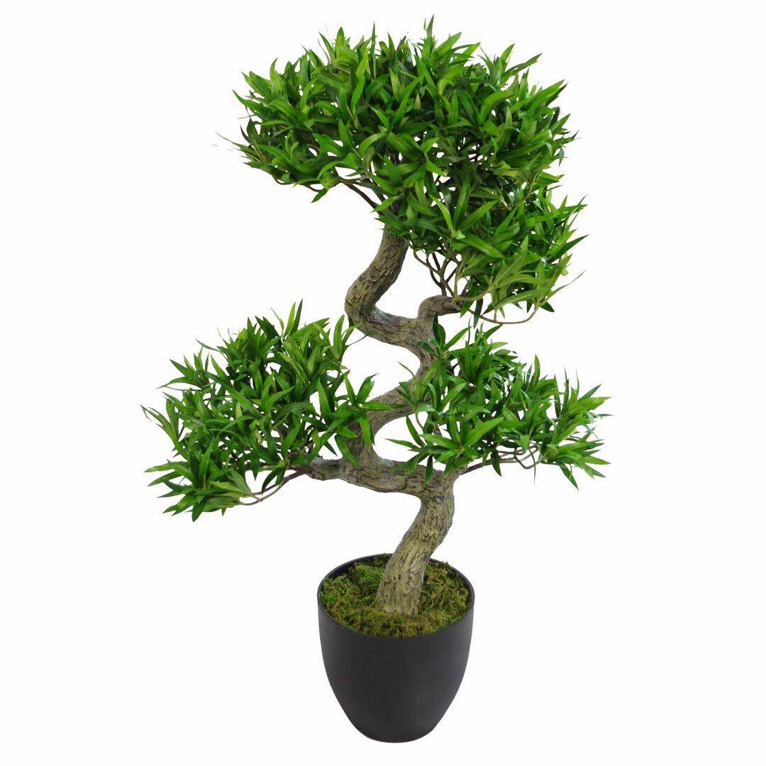 Artificial Podocarpus Bonsai Tree Black Pot - Premium Range - Green