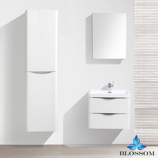 Manes 24 Wall Mounted Single Bathroom Vanity Set with Mirror