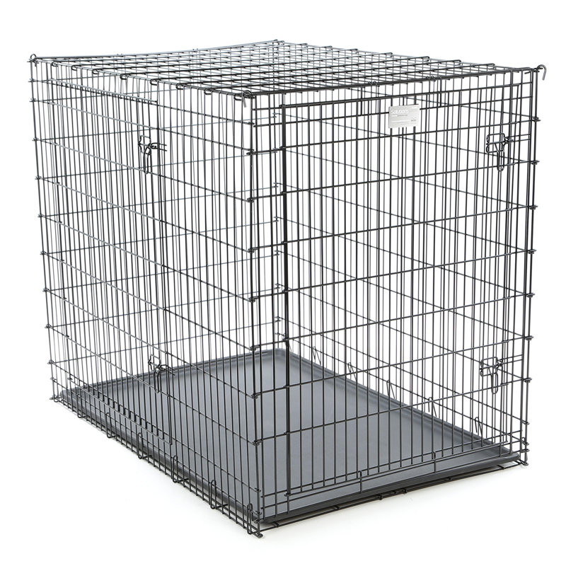 solutions heavy duty dog crate