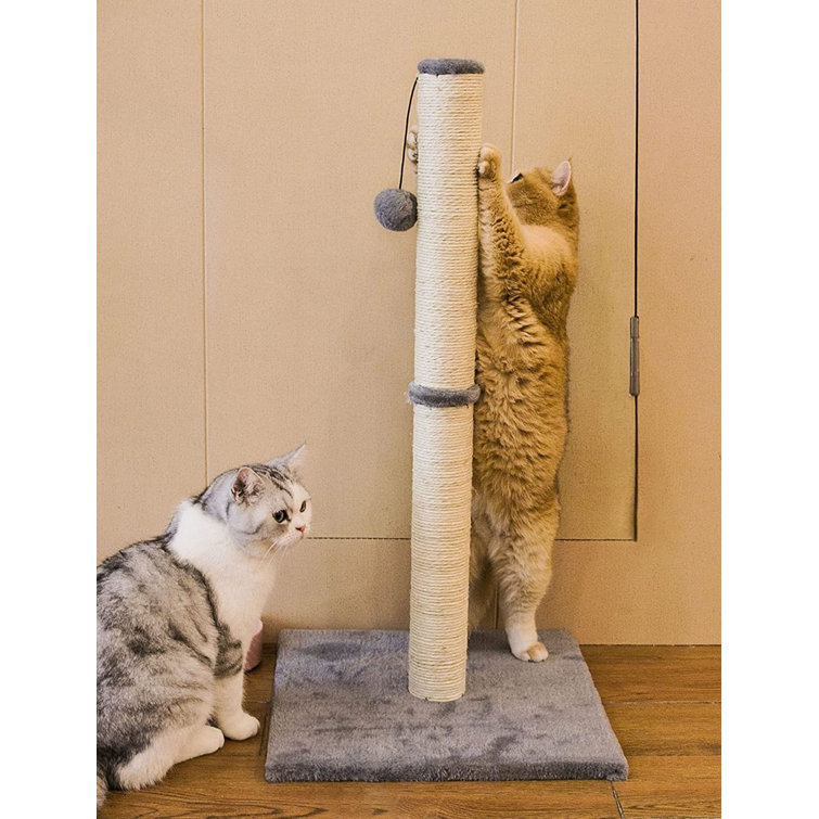 wayfair scratching post