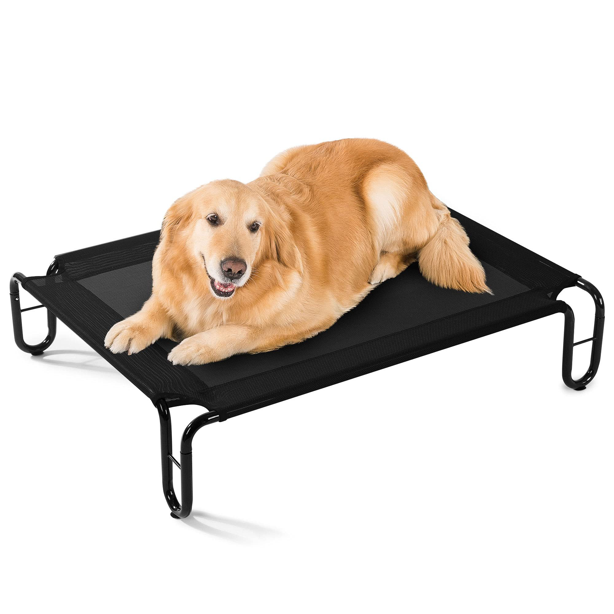 large elevated dog bed