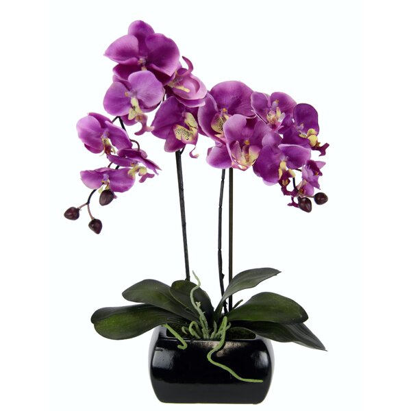 The Seasonal Aisle Kunstblume Orchidee im Topf & Reviews | Wayfair.co.uk