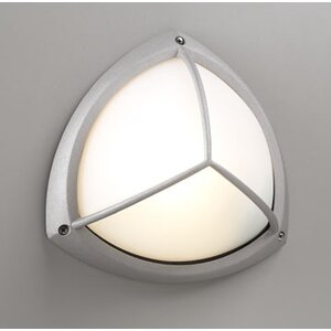 1-Light Outdoor Flush Mount