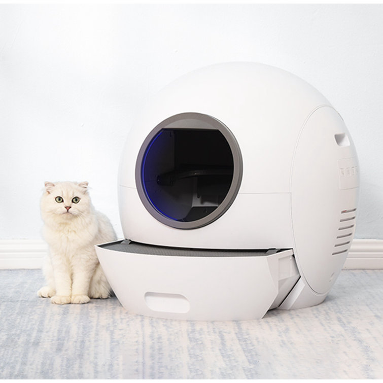 mechanical litter box