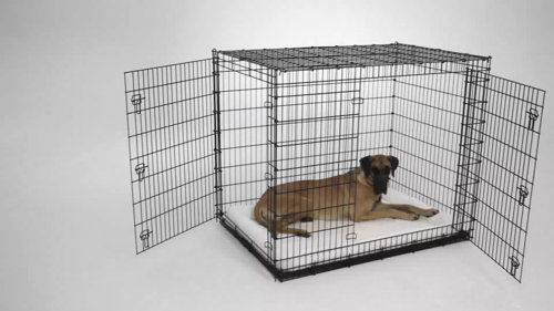 foster and smith dog crates