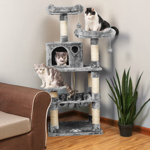 cat toys that hang from the ceiling