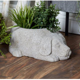Indoor Outdoor Terracotta Urns Statues You Ll Love In 2021 Wayfair
