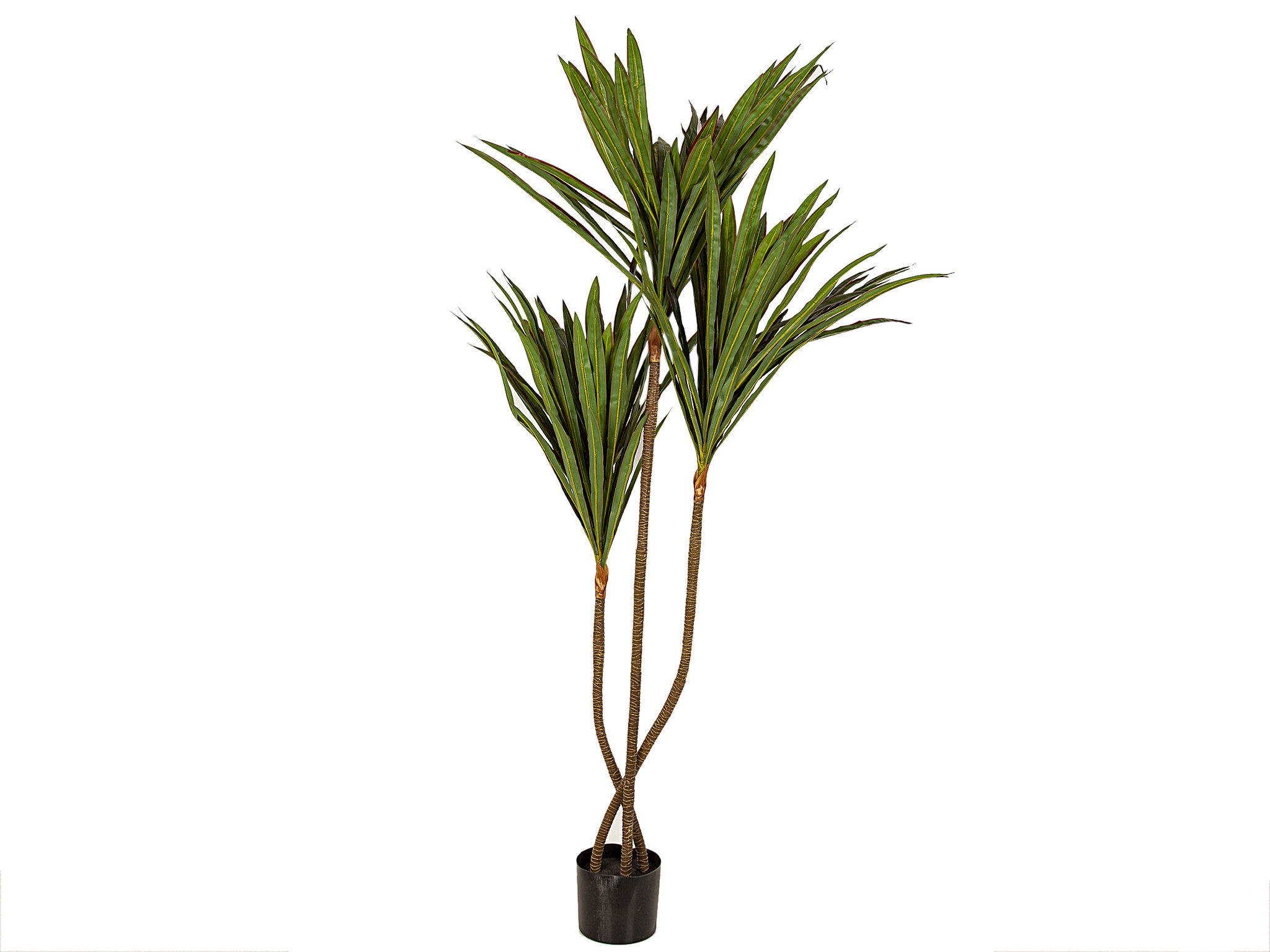 Canora Grey AgathaAlice 160Cm Artificial Palm Tree in Pot Wayfair.co.uk