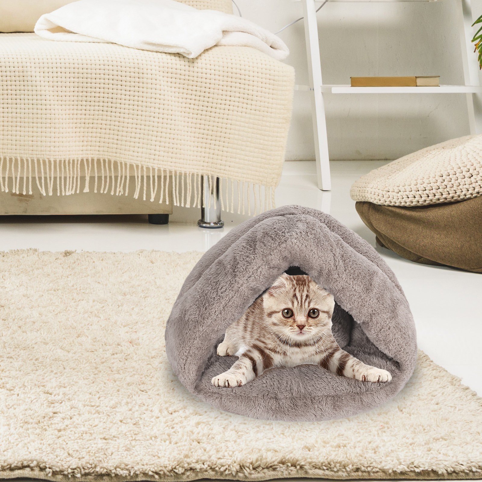 Tucker Murphy Pet™ Daiya Orthopedic Oval Cat Bed | Wayfair