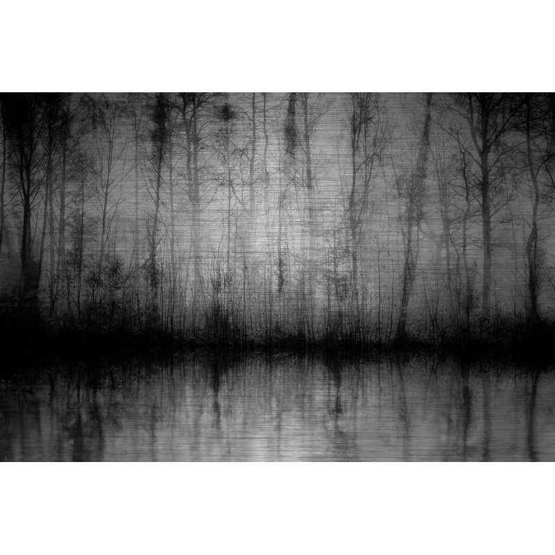 Williston Forge Wispy Trees Reflect Ii Photographic Print On Brushed Aluminum Wayfair,Oval Cane Back Dining Chairs