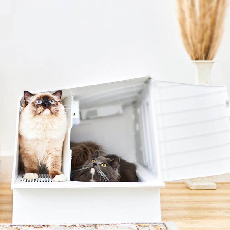 petkit litter box