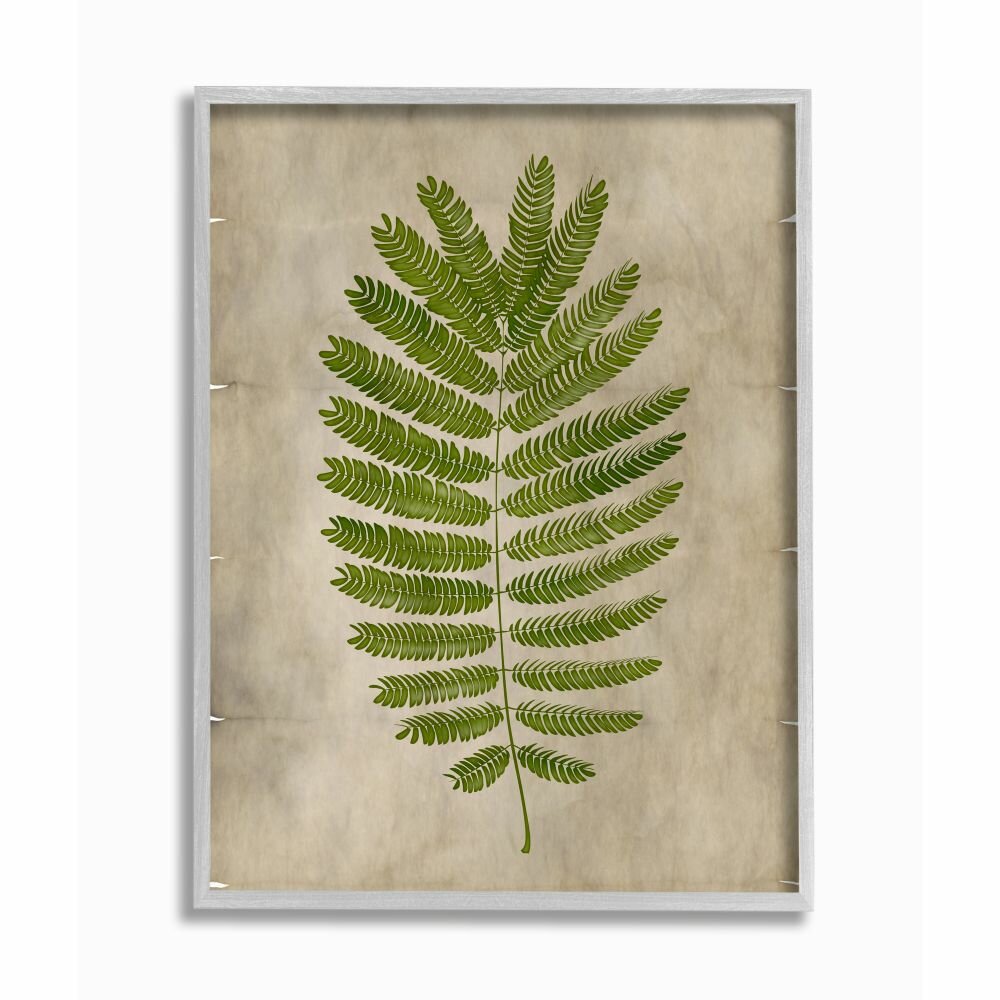 Gracie Oaks Plant Parchment Green - Graphic Art 