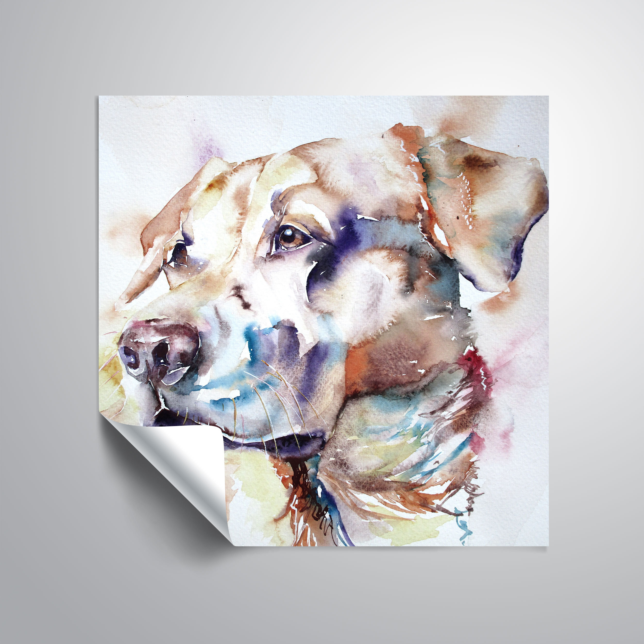 Winston Porter Dog 3 Wall Mural Wayfair