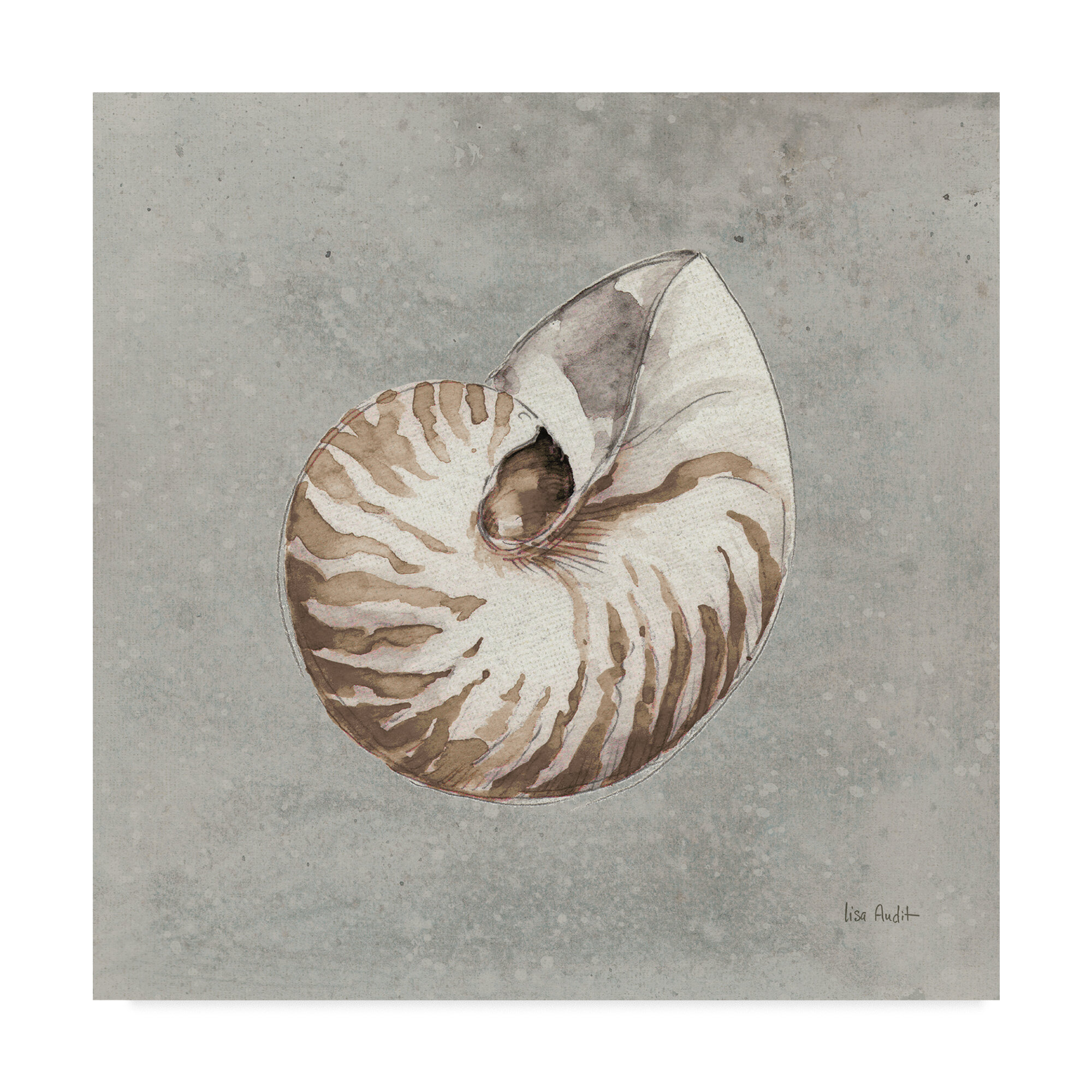 East Urban Home Sand And Seashells I Acrylic Painting Print On Wrapped Canvas Wayfair