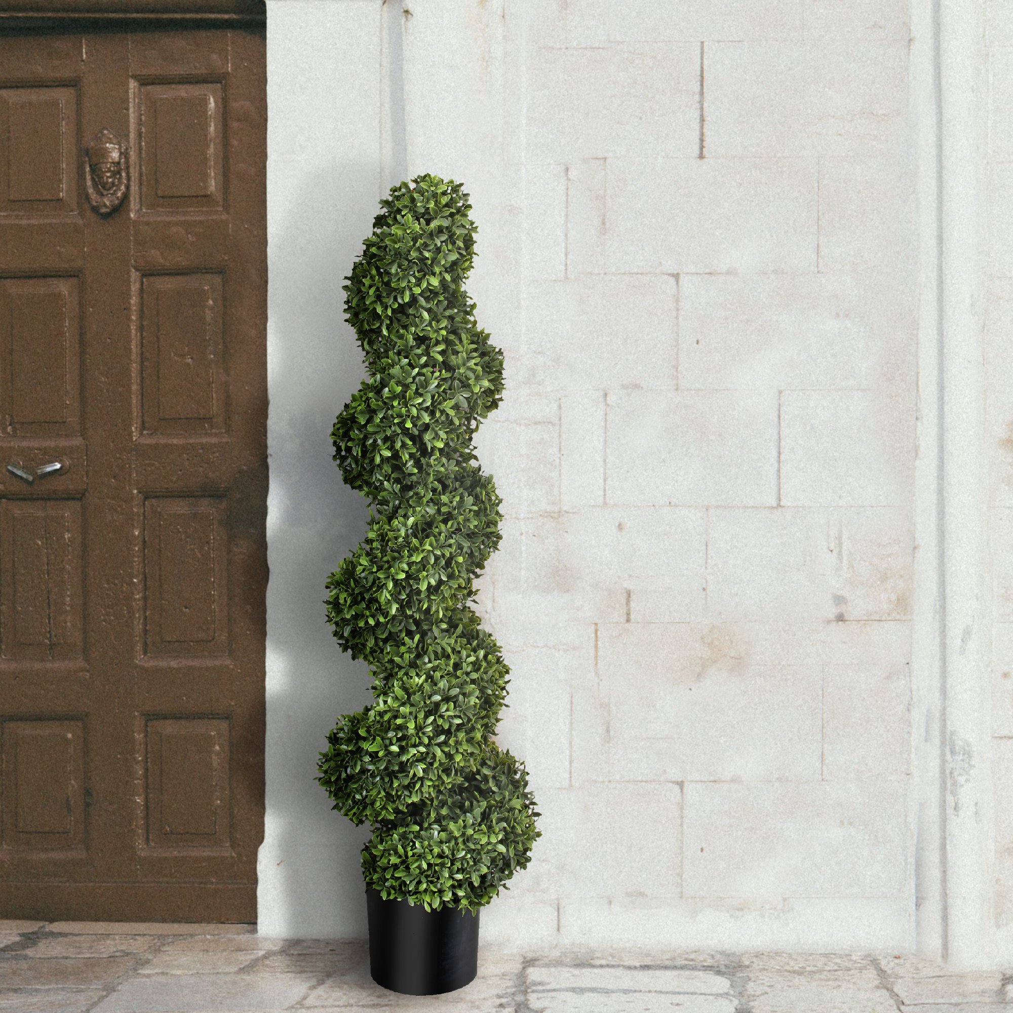 Ophelia Co American Boxwood Topiary In Planter Wayfair