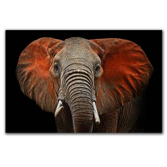 Animal 'African Elephant Animal' - Graphic Art Print on Paper