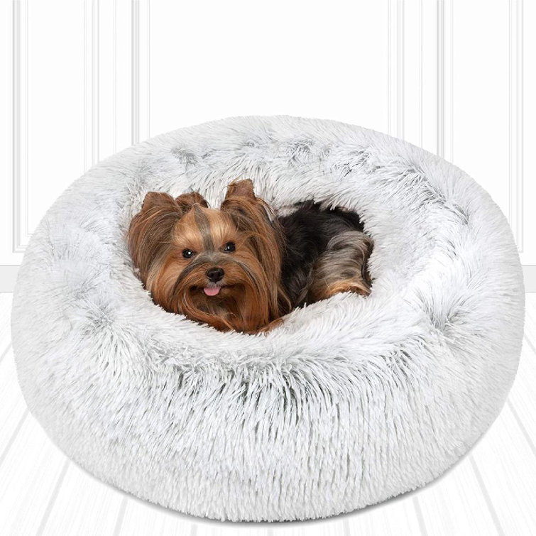 dog donut pillow