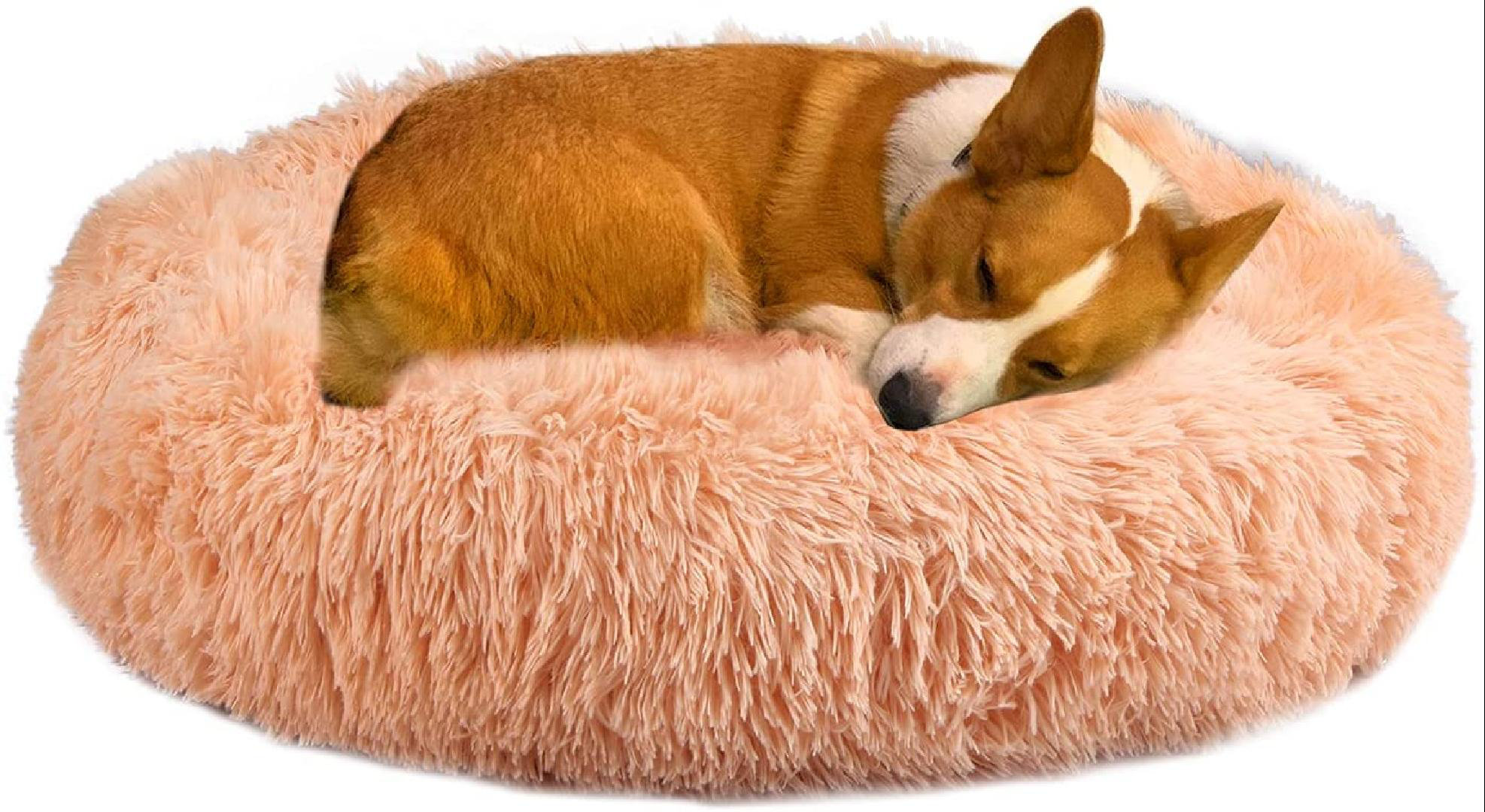 marshmallow dog bed