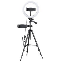 Ring Light Wayfair