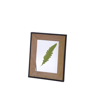 14 X 17 Frame Wayfair Buddy Picture Frame By Gracie Oaks