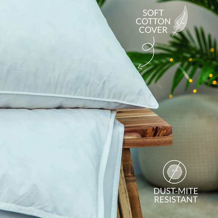 snuggledown wash and dry me duck down pillow