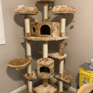 Tucker Murphy Pet 72 Fritz Cat Tree Reviews Wayfair